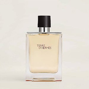 Perfume Terre D'Hermés Masculino Eau De Toilette 100ml
