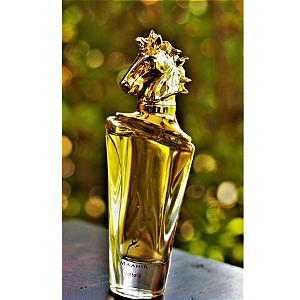 Perfume Maahir Gold Edition Lattafa Eau de parfum - 100ml