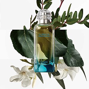 Perfume Un Jardin en Méditerranée HERMÈS: Um Oásis Secreto de Frescor e Serenidade - Eau de Toilette