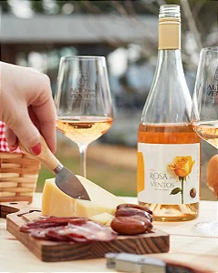 Piquenique no Vinhedo