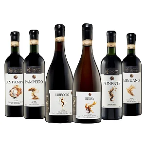 Kit de Vinhos Linha Ventos