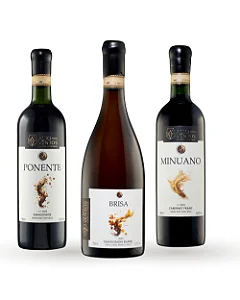 Kit Presente Alto dos Ventos