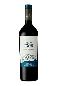 Vinho Tinto Andeluna 1300 Cabernet Sauvignon 750mL