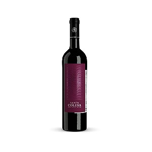 Vinho Tinto Santa Colina Pinot Noir 750mL