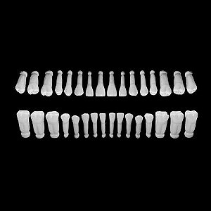 Jogo de Dentes com Encaixe Individual Resina Especial 32 Dentes