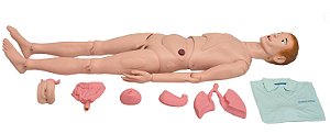 Manequim Bissexual Adulto C/ Órgãos Internos P/ Treino de Enfermagem de 1,70cm