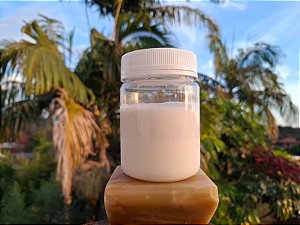 Grãos de kefir de leite