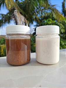 Grãos de kefir de leite e de água
