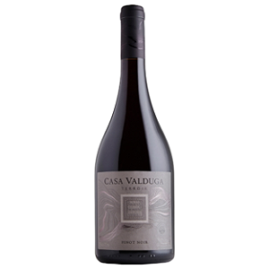 Casa Valduga - Terroir Pinot Noir