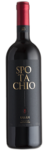 Família Ulian - Spotachio 2017