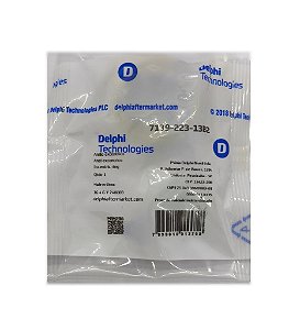 ANEL EXCENTRICO BOMBA DELPHI 7139-223