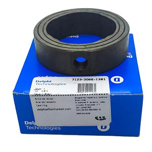 ANEL DE RESSALTO BOMBA DELPHI 7123-308E