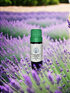 Óleo essencial de Lavanda 10ml