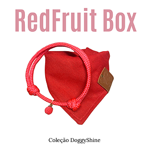 Box Bandana e Colar Paracord Pet Vermelho