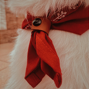 Lenço pet Vermelho