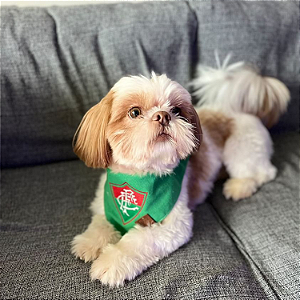 Bandana Pet Fluminense