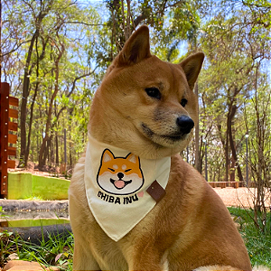 Bandana Pet Shiba Inu