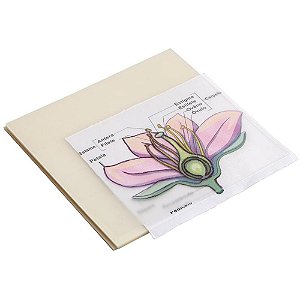 Bloco de Recado Autoadesivo 75X75MM TRIS Holic Cristal - 50 Folhas