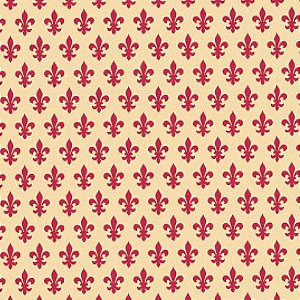 Papel de Parede Plástico Adesivo 45CMX15M Liso  Vermelho