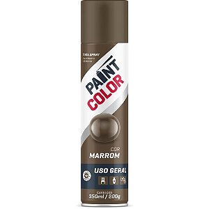 Tinta SPRAY Paintcolor 350ML Marrom 200G