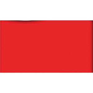 Saco Metalizado Vermelho 50X69CM Pacote com 50
