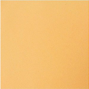 Placa em EVA 60X40CM Bege 1,6MM Pacote com 10