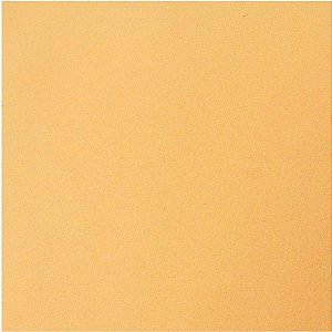 Placa em EVA 48X40CM Bege 1,6MM - Pacote com 10 Folhas