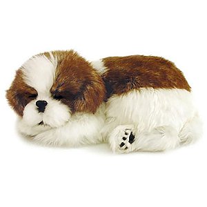 Perfect PETZZZ Filhote Pelúcia Cachorro SHIH TZU
