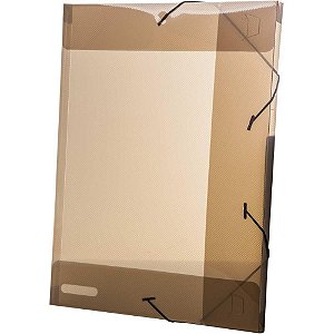 Pasta ABA Elástica Plástica Ofício 20MM Fumê Delloline Pacote com 10