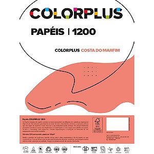 Papel Cartolina Dupla Face Color PLUS 48X66CM 120G Rosa - Pacote com 10 Unidades
