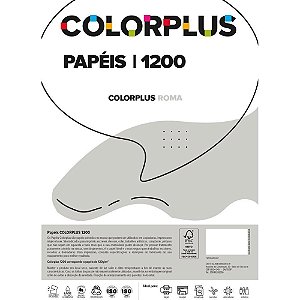 Papel Cartolina Dupla Face Color PLUS 48X66CM 120G Cinza PCT com 10