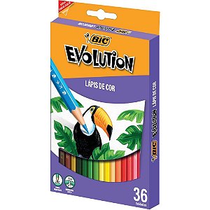 Lápis de COR Sextavado BIC Evolution 36 Cores - Pacote com 3 Caixas
