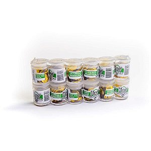 Lantejoula Metalizada Ouro 10MM Pote 2G Pacote com 12