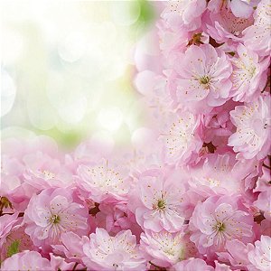 Guardanapo para Decoupage FLOR Real 33X33CM PCT com 20