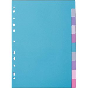 Divisória Fichário Plástica 10 Projeções Color A4