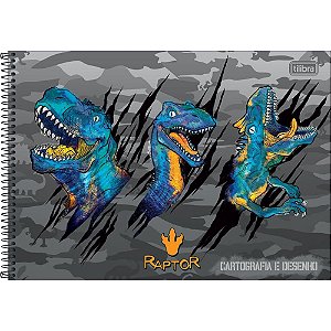 Caderno de Desenho Universitário Capa Dura Raptor 80 Folhas Pacote com 04