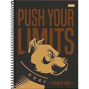 Caderno 15X1 Capa Dura Power DOG 240 Folhas Pacote com 02