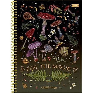 Caderno 10X1 Capa Dura Magic LAND 160 Folhas Pacote com 04