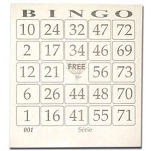Bloco para Bingo Jornal 110X100MM 100 Folhas – Pacote com 15 Unidades