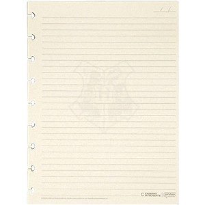 Caderno Inteligente Refil Médio HARRY Potter PAUT.90G 50