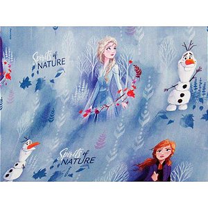 Papel de Parede Plástico Adesivo 45CM X 10M Frozen II