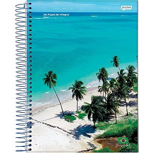 Caderno Espiral 1/4 Capa Dura Brasilidade 200 Folhas Pacote com 5