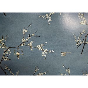 Papel de Parede Plástico Adesivo 45CMX10M Floral Passaros e Flores