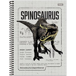 Caderno 15X1 Capa Dura Sauros 240 Folhas Pacote com 2 Unidades
