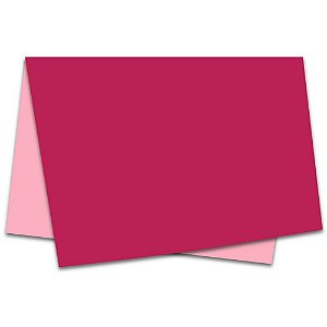 Poli Dupla Face 49X69CM Valência PINK/ROSA - Pacote com 25 Unidades