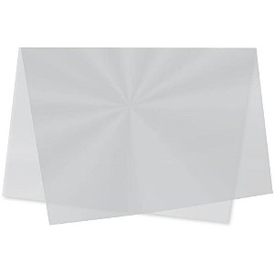 Sujinho Poli Liso 49X69CM Incolor - Pacote com 50 Unidades
