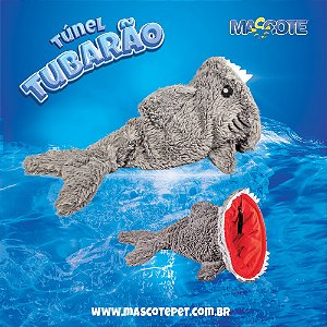 Ref 602 - Túnel Tubarão (9USCYKF8W)