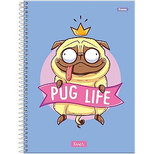 Caderno 10X1 Capa Dura EVER 160 Folhas Pacote com 4 Unidades