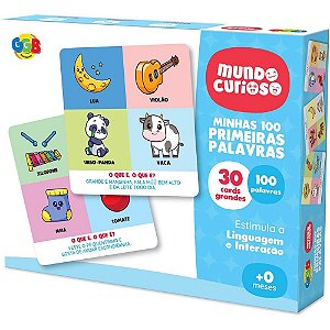 Brinquedo Pedagógico Minhas 100 Primeiras Palavras