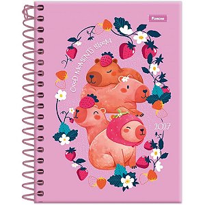 Agenda 2027 Amazzu Espiral 160 Folhas 110 X 154 MM Pacote com 04